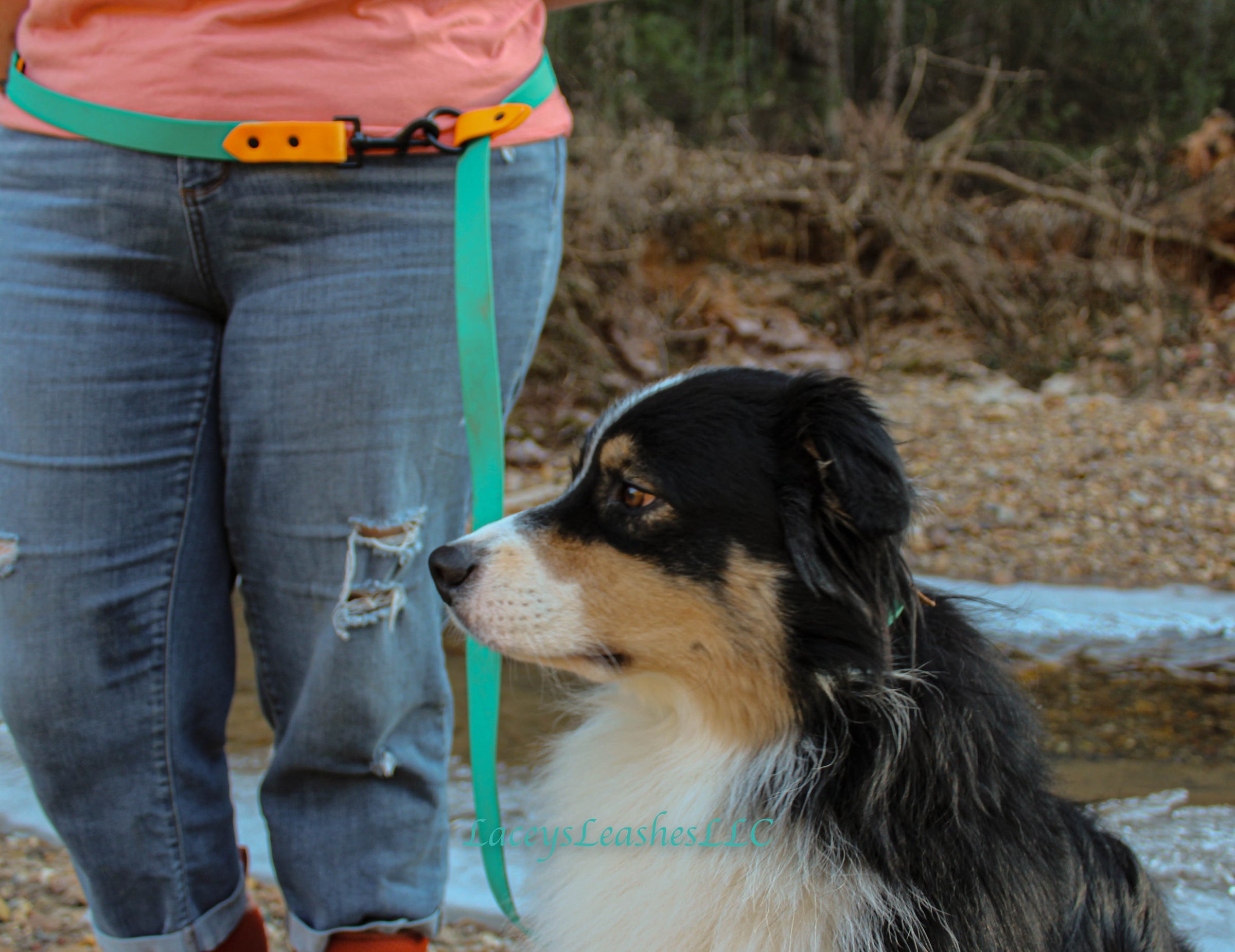 Hands-Free Leashes