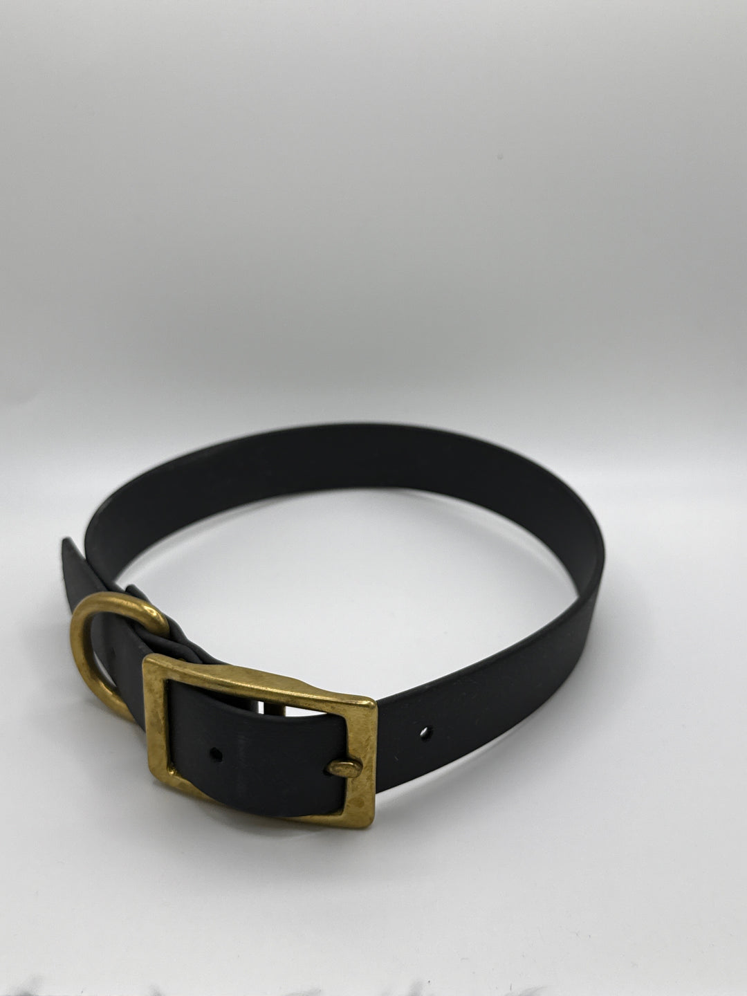 Biothane Buckle Collar