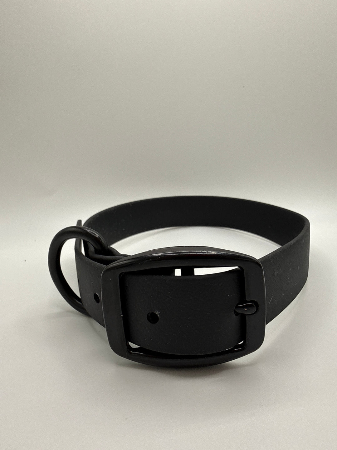 Biothane Buckle Collar