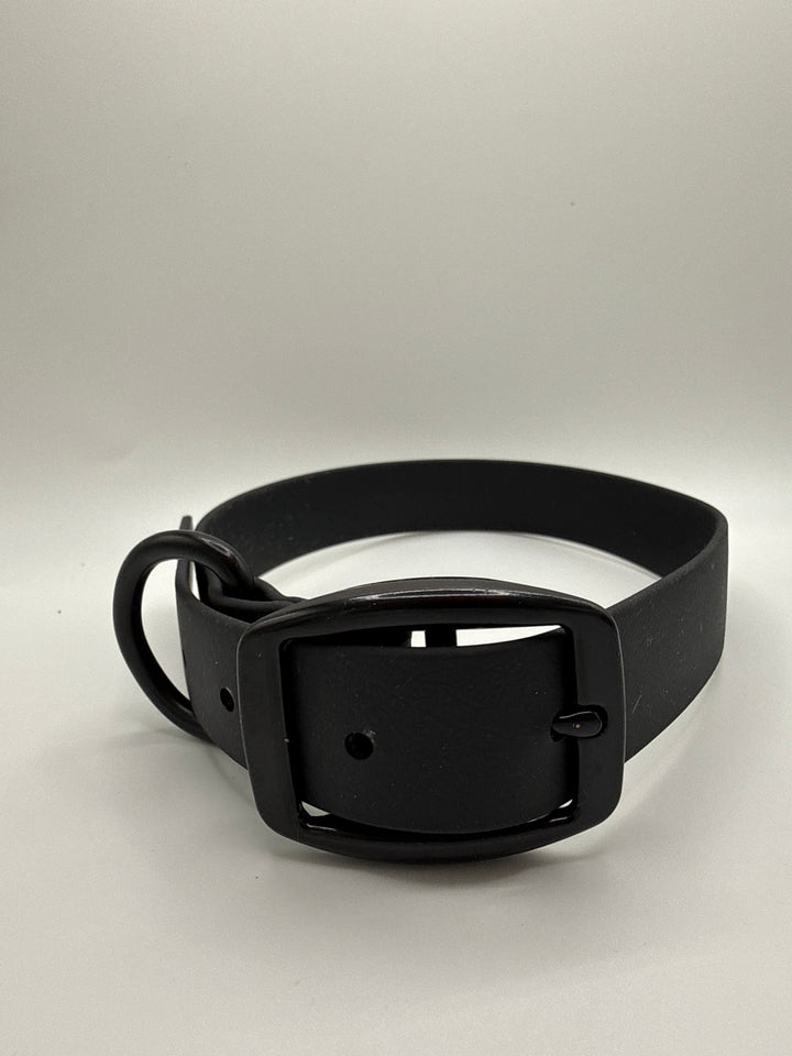Biothane Buckle Collar