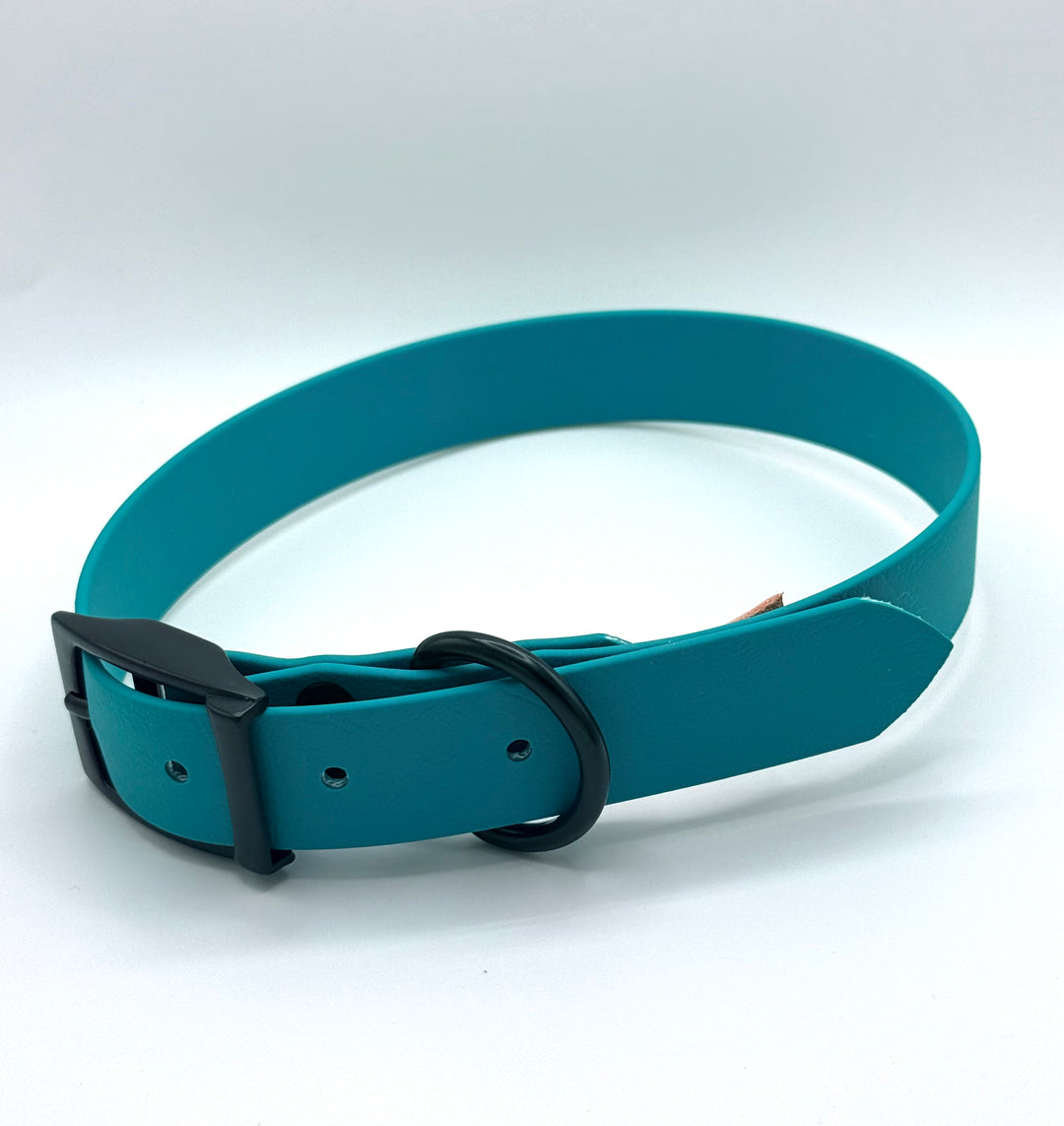 Biothane Buckle Collar
