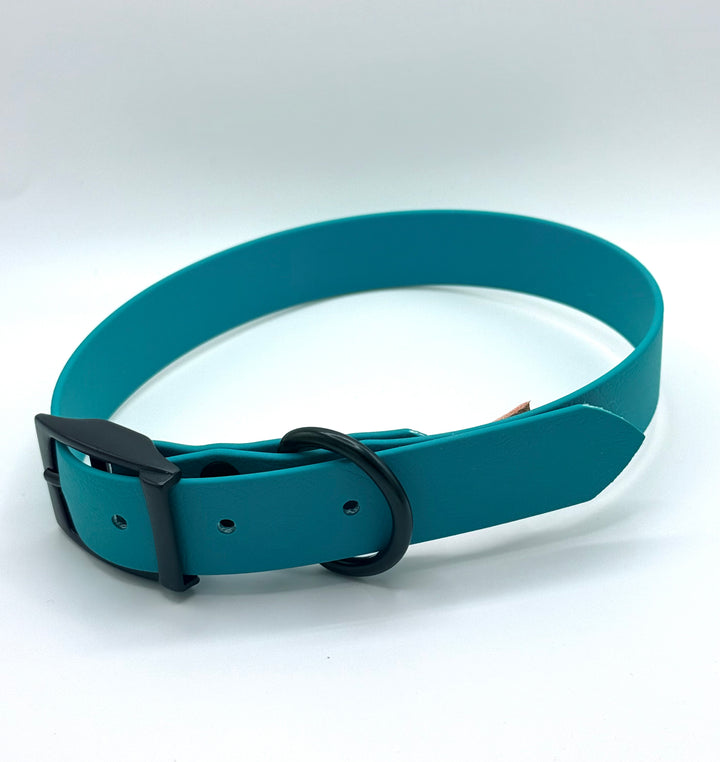 Biothane Buckle Collar