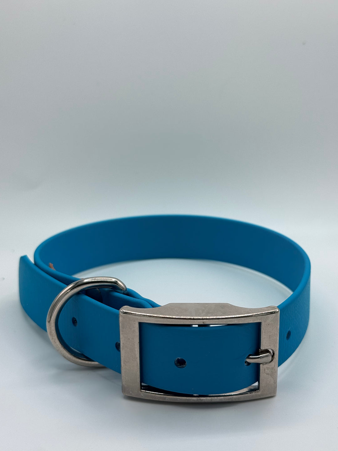 Biothane Buckle Collar