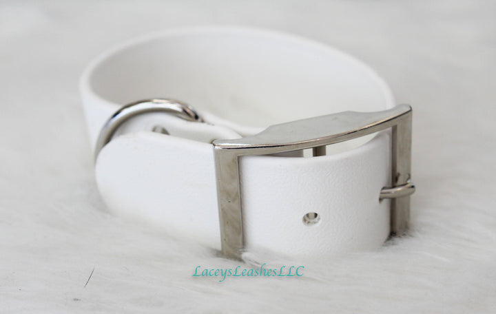 Biothane Buckle Collar
