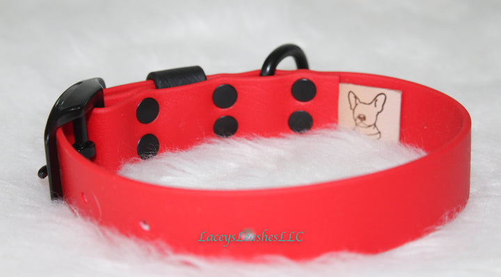 Biothane Buckle Collar