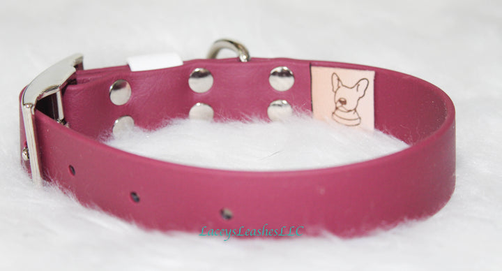 Biothane Buckle Collar
