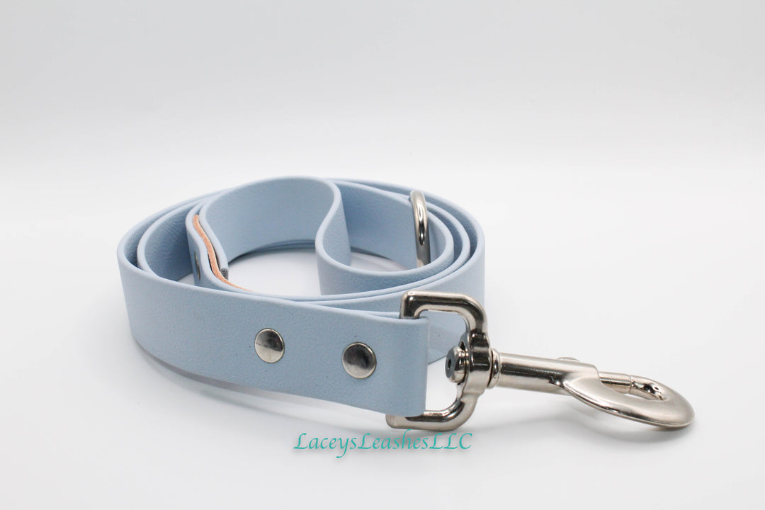 3 foot Polar Blue Leash- 1 inch width