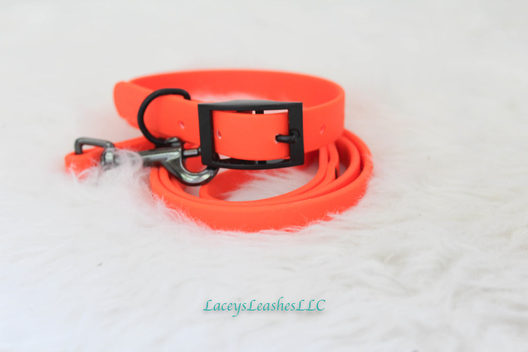 Biothane Buckle Collar