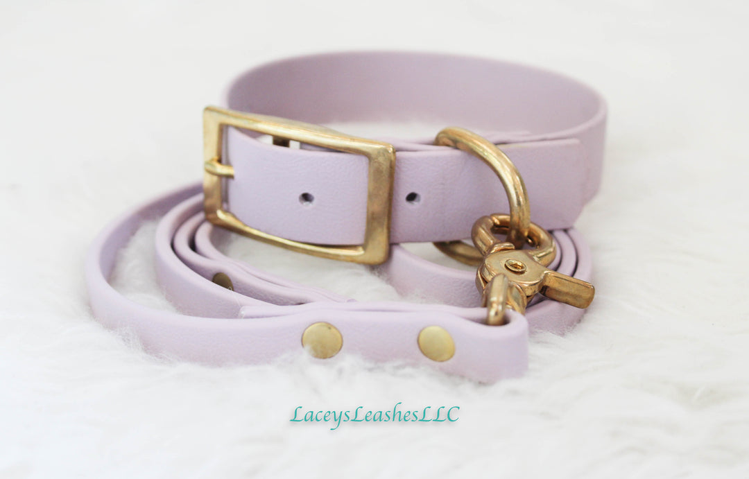 Biothane Buckle Collar