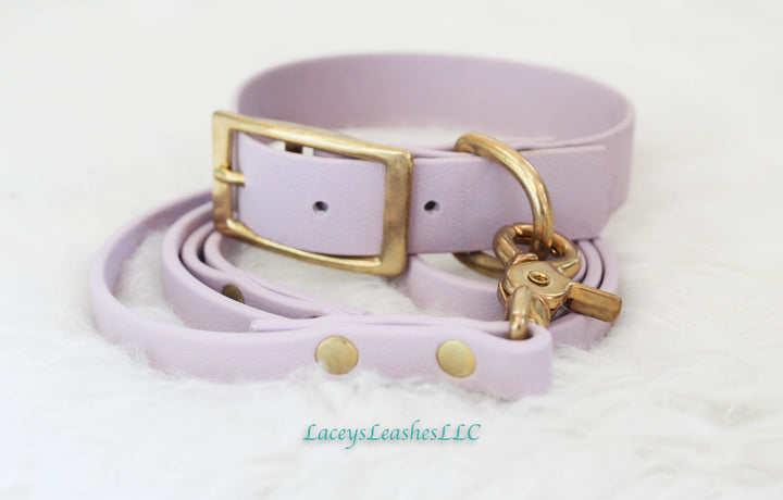 Biothane Buckle Collar