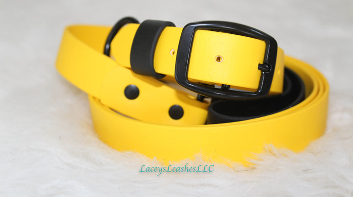 Biothane Buckle Collar