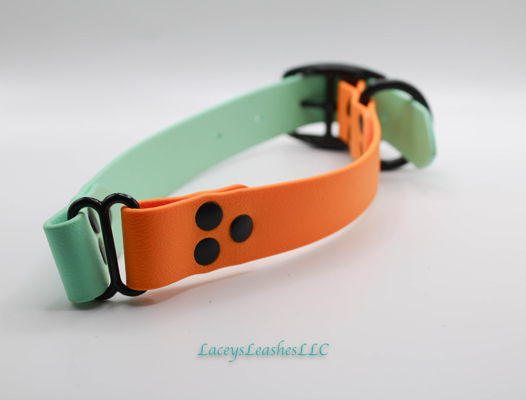 Medium Seafoam Green and Creamsicle Orange collar with Black Hardware